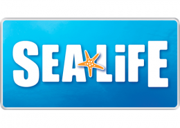descuentos sea life